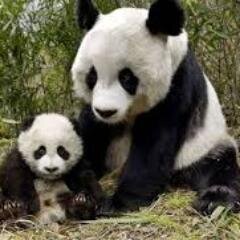 De1braYo's profile picture. Unrest of spirit is a mark of life.