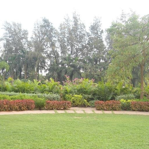 kadammistry's profile picture. 