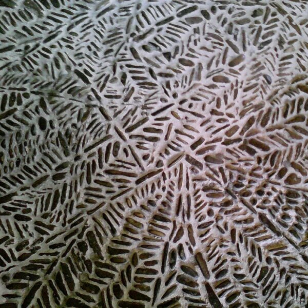 cytiber's profile picture. ¿Quien ha dicho eso?