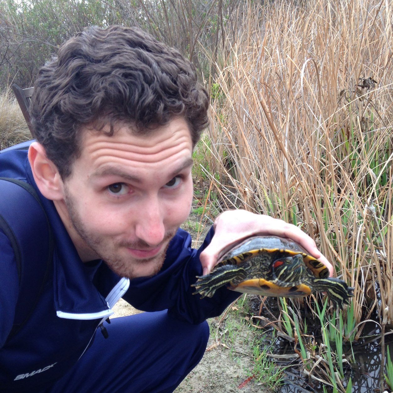 Roy_Powell's profile picture. Volleyball, beer,..and I cant think of anything else.