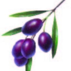 turki.alqahtani@ikkgroup.com