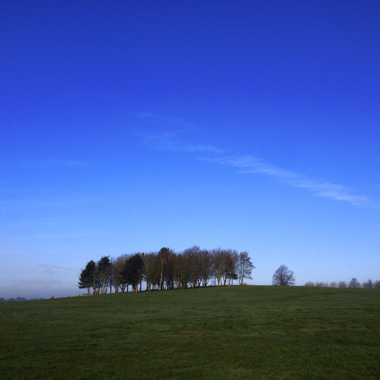 Help us to build a snapshot of Warwick on the longest & shortest day of each year. We promote Warwick!
Grab a camera, use the one on your phone & get involved!