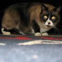 Ray Sands Glass - @RaySands - Twitter