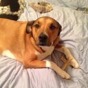 Casey Doherty - @CaseyDoherty1 - Twitter