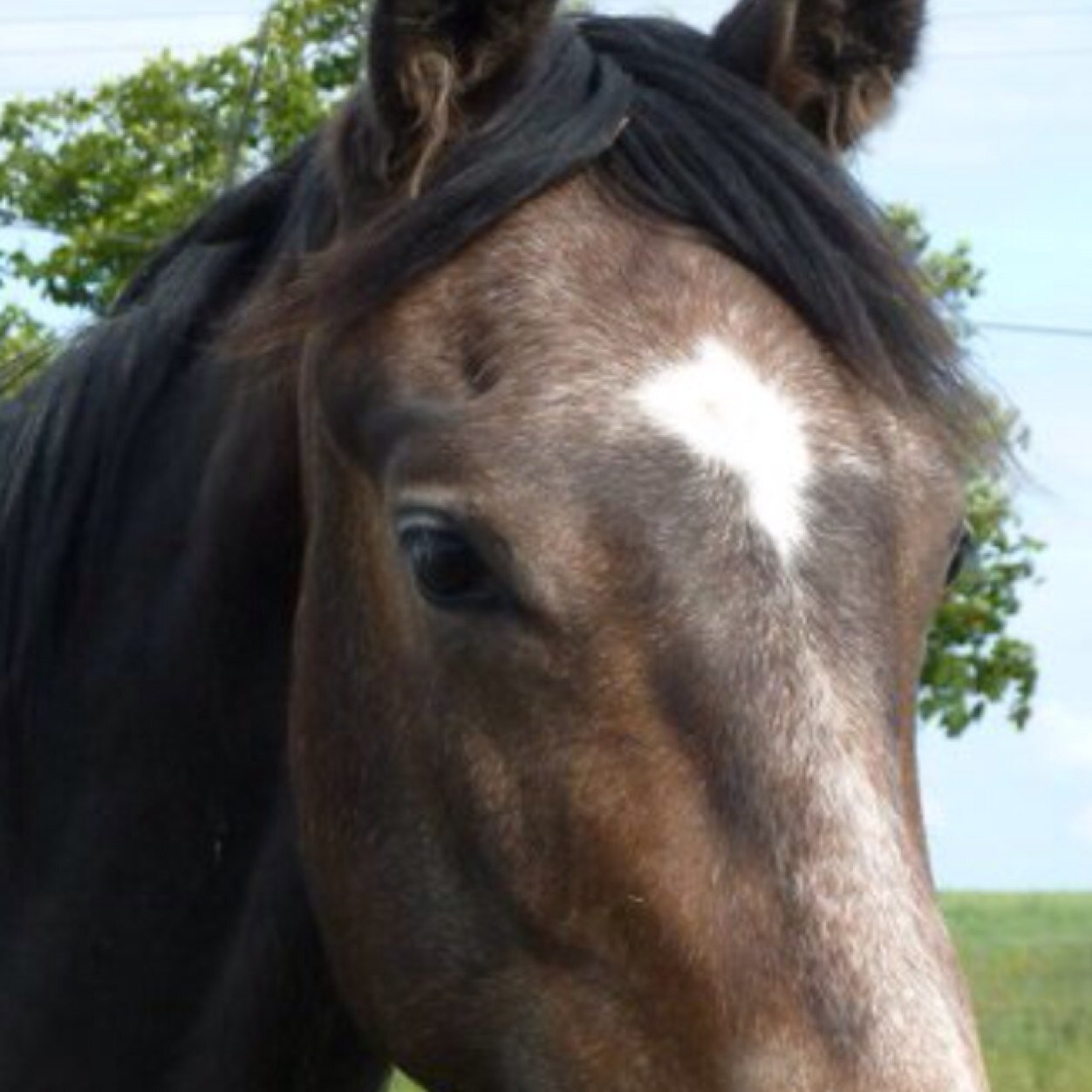 anbo66's profile picture. 