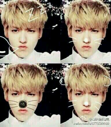 อันยองคับ ผมคริสแห่ง EXO-M ฟอลผมหน่อยนะคับผมอาจจะไม่ค่อยหล่อเท่าไรแต่ใจผมหล่อมากคับ ฟอลผมนะๆ;)  แฟมของผม ชื่อ อู..มา..มิ คับ #UMMfam