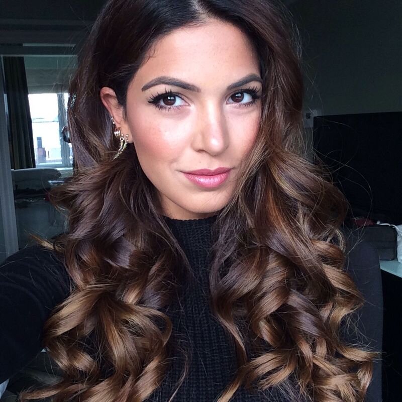 Negin Mirsalehi Profile