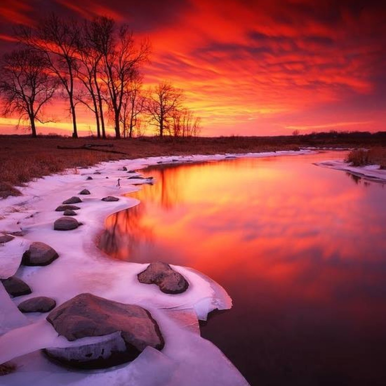 adamfree1982's profile picture. 