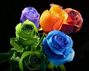 ‏إذِا شُئتٌ فُيِ الَدٍاريِنِ تٌسِعٌدٍ 
فُأکْثًر مًنِ الَصّلَاة عٌلَى مًحًمًدٍ وٌالَ مًحًمًد