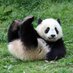 Roli (@greenspikeyball) Twitter profile photo