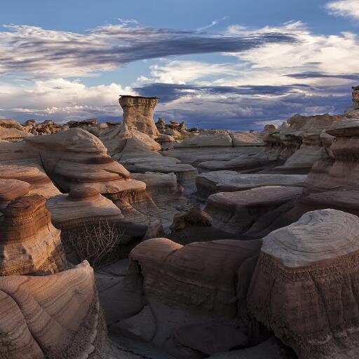 Antony52927816's profile picture. 