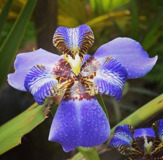 anolaimag's profile picture. 