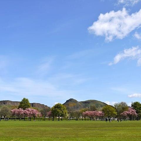 meadowstouch's profile picture. Mixed touch - open to all levels - free coaching - every Sunday @ 2pm