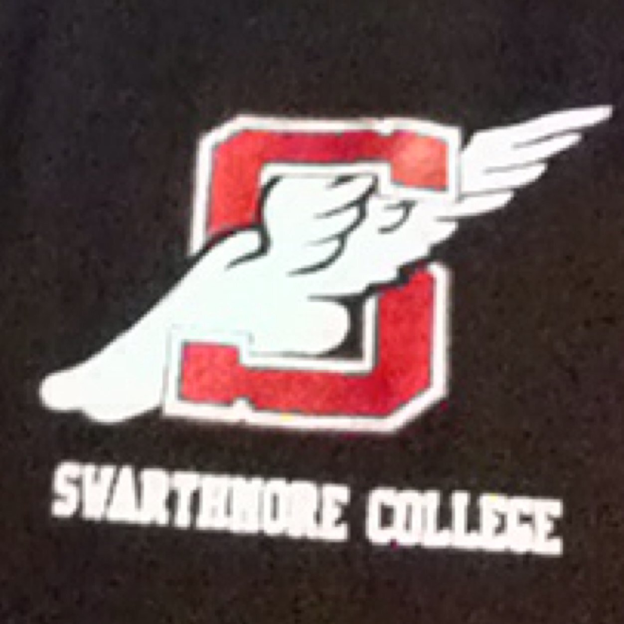 The official Twitter of Swarthmore College Cross Country and Track & Field #cctrack14 #GoGarnet