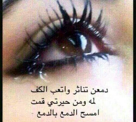 alsalti30's profile picture. 