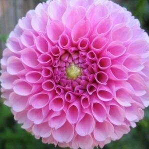 martagomezvz's profile picture. 