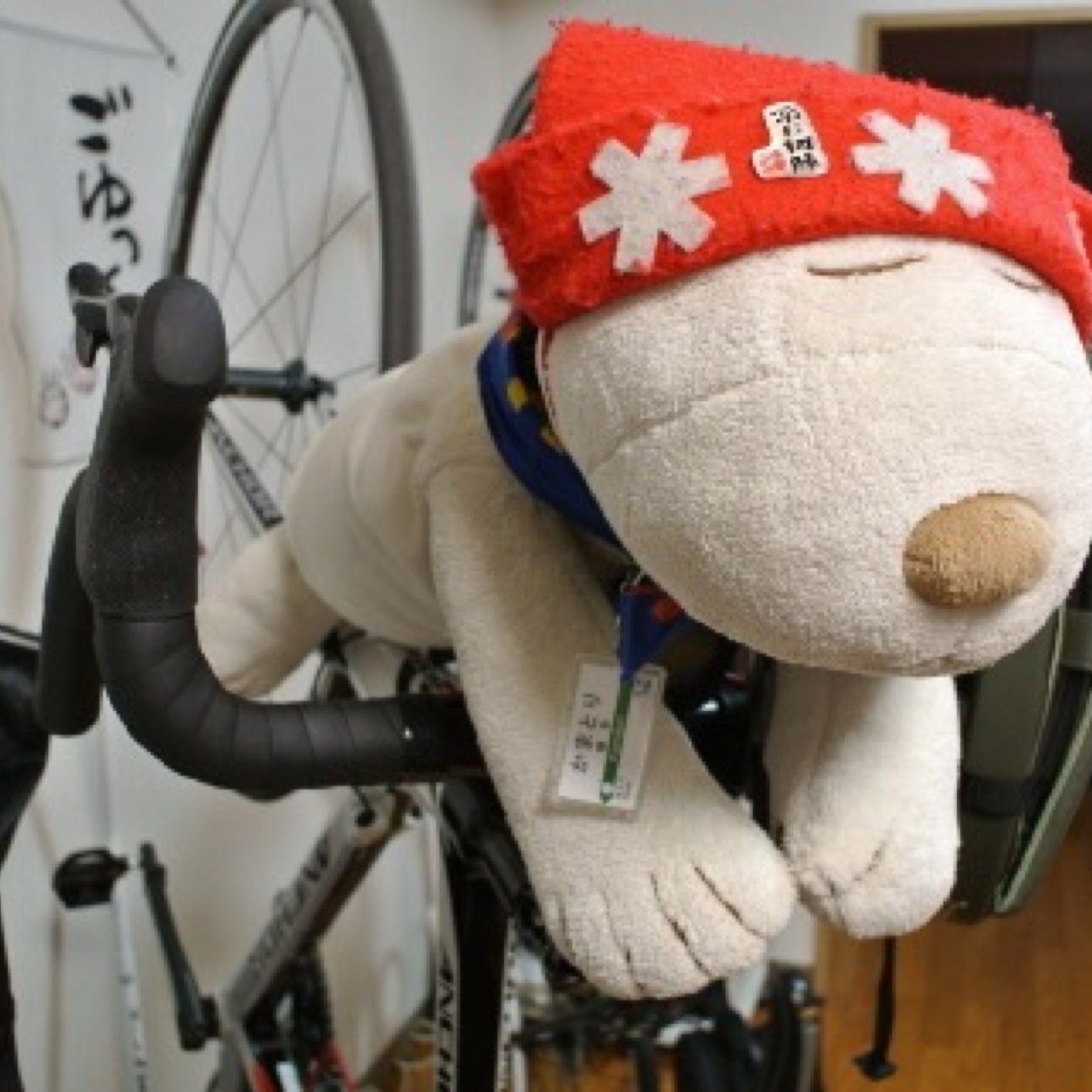 EggStands's profile picture. 