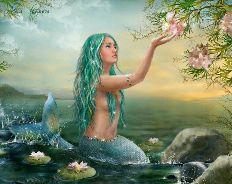 Under the sea