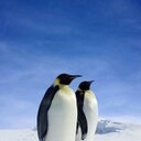 Wallace Cline - @WcCline - Twitter