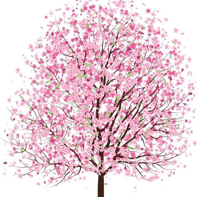 Boo510's profile picture. Product manager/ working mother