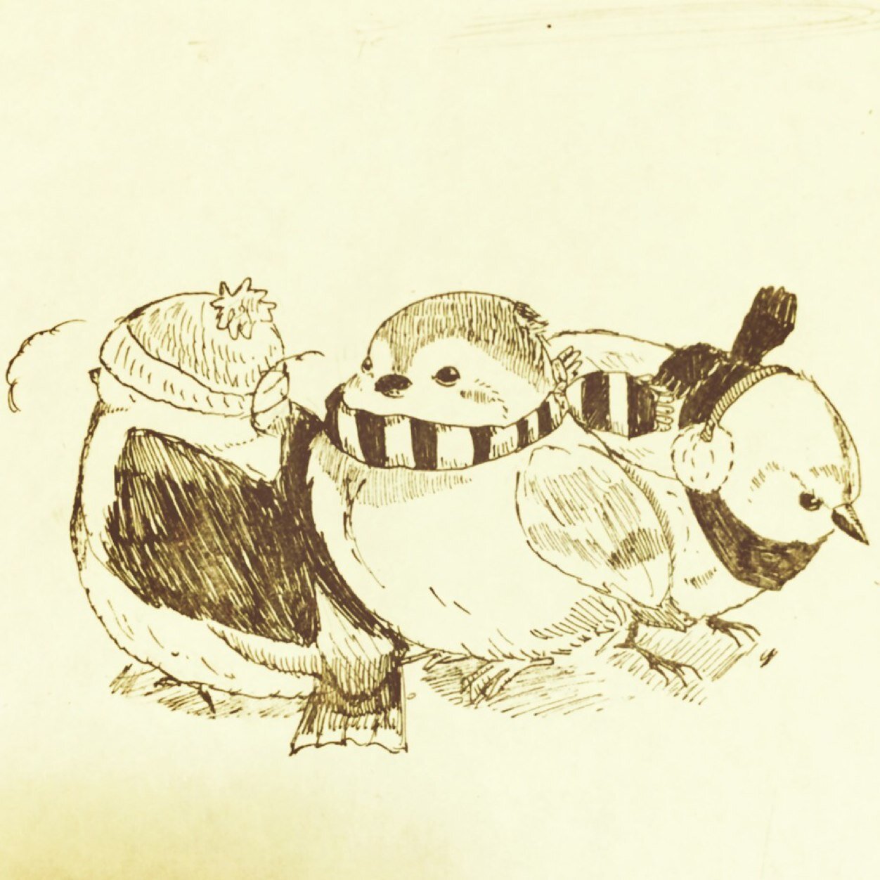 pixivで絵を投稿してます。写真も好きです。 成人済み