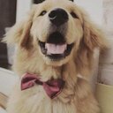 daniel everdeen▲ - @Daaniel48 - Twitter