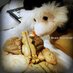 Aki (@hogsford) Twitter profile photo Aki (@hogsford) Twitter profile photo