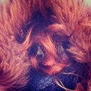 Emma Tynan - @emmaahoy - Twitter