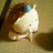 pre723's profile image