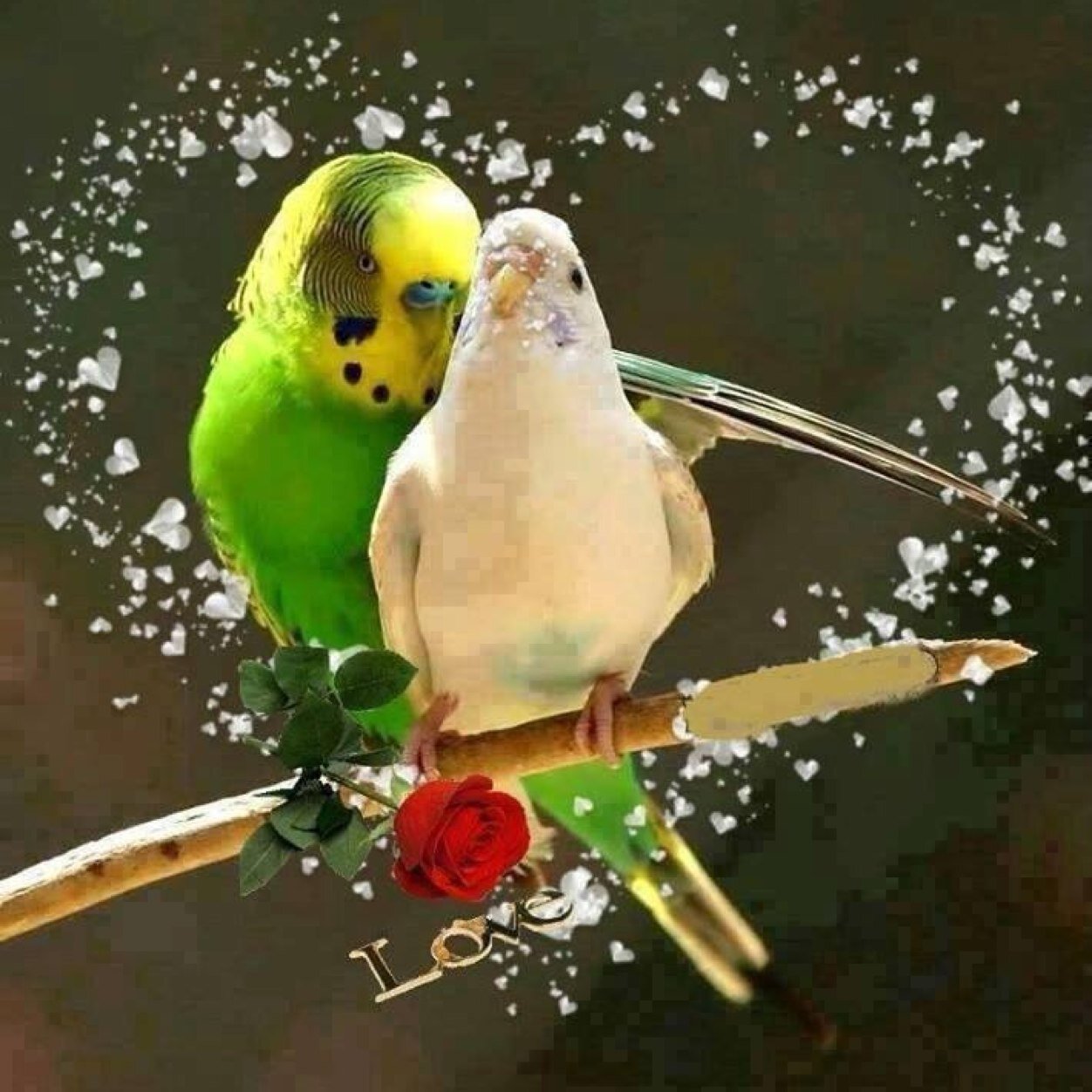 I'm very cool & friendly........