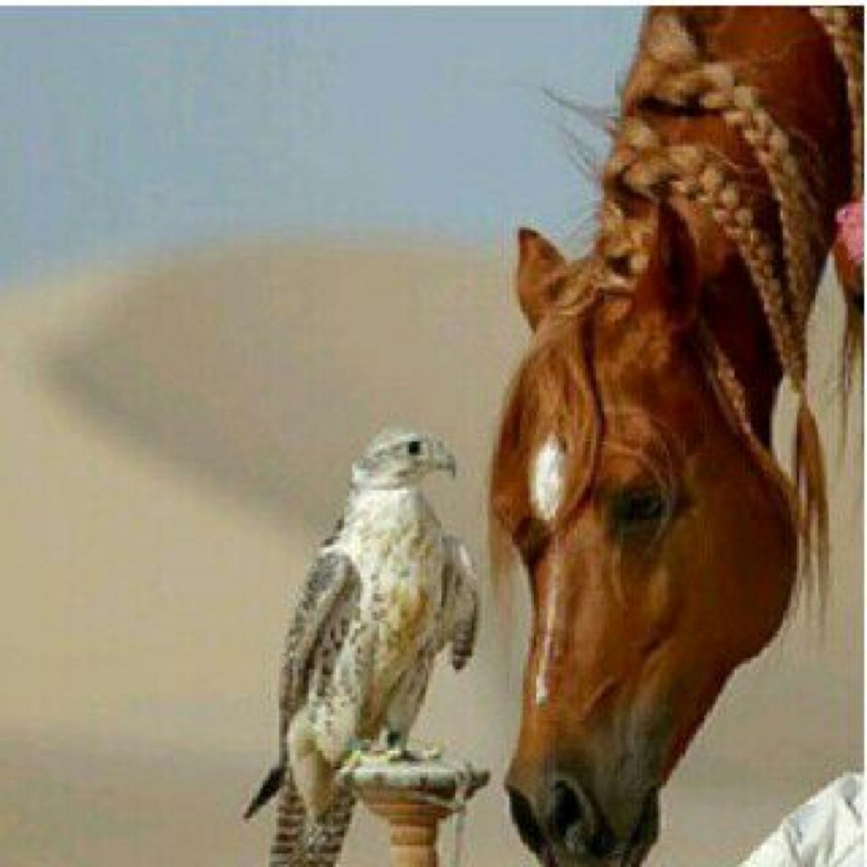 سبحاان الله وبحمده .. سبحان الله العظيم