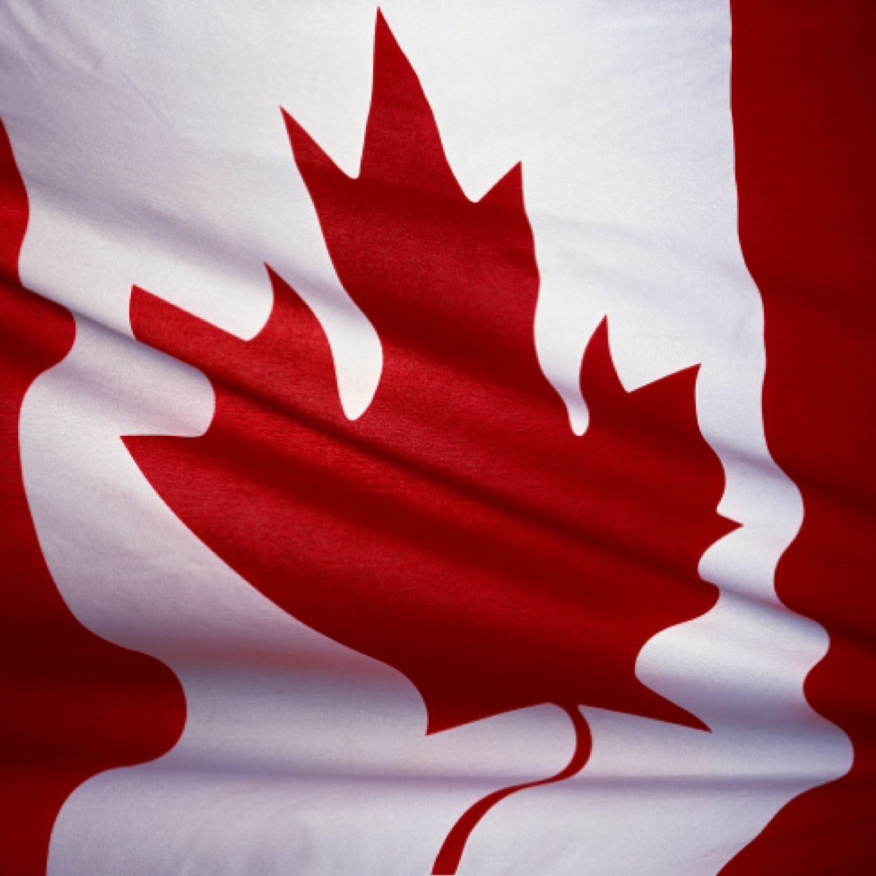 RelatableCanada's profile picture. We are all a little Canadian.