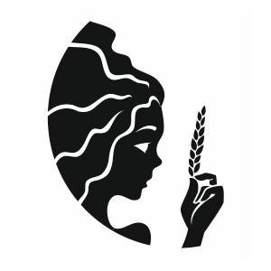 Le signe astrologique de la Vierge est lié aux personnes nées entre le 24 août et le 23 septembre. #TeamVierge ♍️