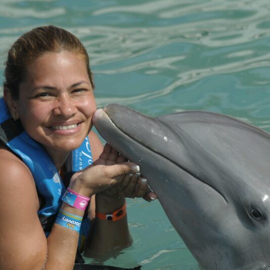 mayerling1904's profile picture. 