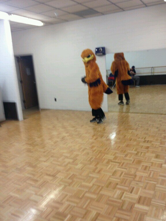 Tnutt09's profile picture. 