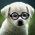 Baden Optical (@badenoptical) Twitter profile photo Baden Optical (@badenoptical) Twitter profile photo