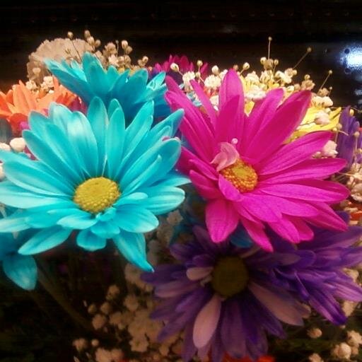 CRadinNorman's profile picture. Remote ED Coder