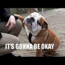 DdB - @AlanShearer_9 - Twitter