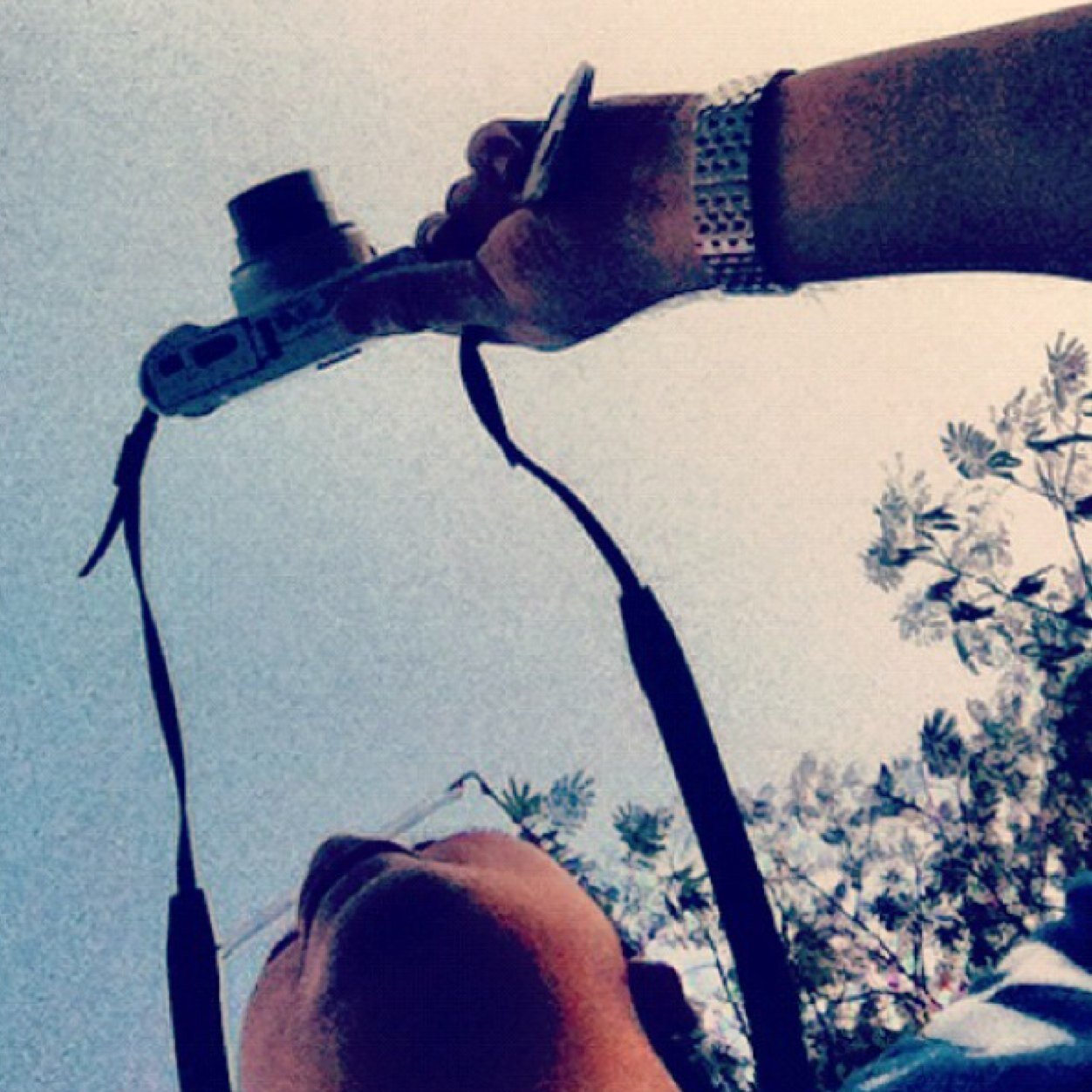 zhongqii's profile picture. 