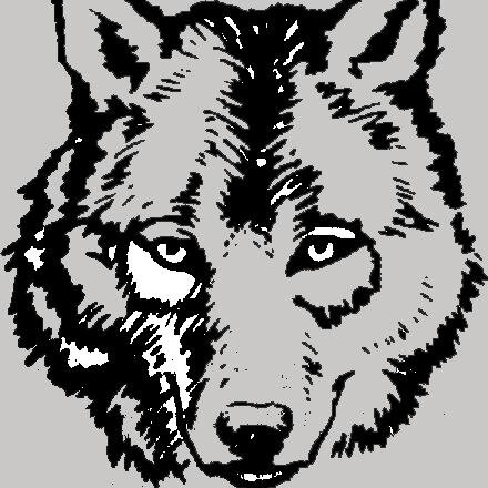 NCS_Music's profile picture. We are a new folk rock group currently 
recording our first album for release in 2015.