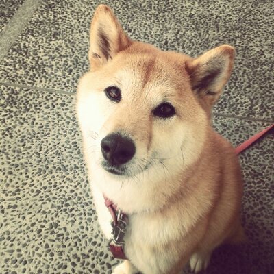 ごっくんヨシアキ 飲み会の時のゲームの攻略法考えた ほうれん草 落ち着いてやる 山手線 落ち着いてやる ゴーバックジャンプ 諦めるor逃げる ごっくんヨシアキ 飲み会の時のゲームの攻略法考えた ほうれん草 落ち着いてやる 山手線 落ち着いてやる ゴーバックジャンプ 諦めるor逃げる