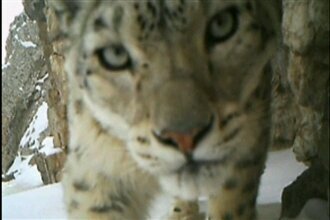 jimmyfalckon's profile picture. Just a little story down my road.