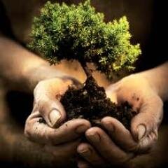 “I am I, plus my environment, & if I do not preserve the latter,I do not preserve myself”
#Sustainability #ClimateScientist #Multidisciplinary Research