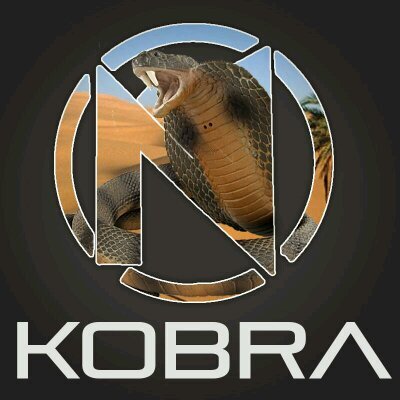 NayT_Kobra member NayT, subscribe NayT_Alliance on youtube, I'm Italian, follow me and follow you back