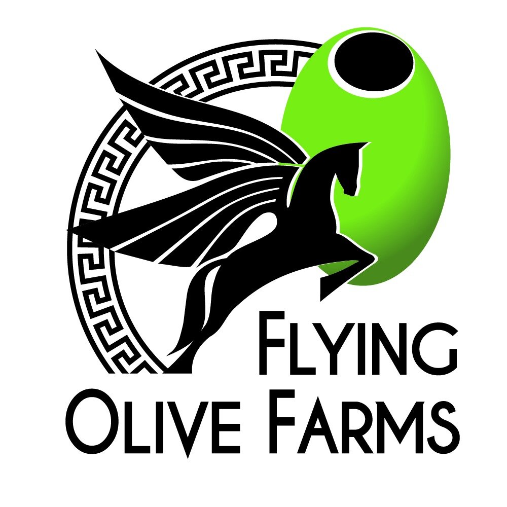 Sourcing & Crafting the perfect better for you foods, natural, organic & from beautiful Greece- Best EVOO's, Balsamics, mustards, waters & WINE! @vrisi36