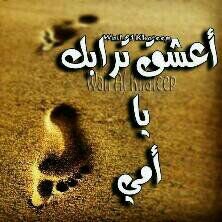 aisha8872's profile picture. ‏‏حتى لو تركتك لغيري ف سأبقى اﻷسطورة التي هزت كياانك