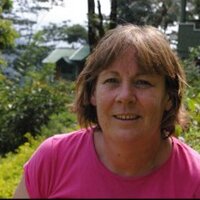 Yvonne Birks (@birksyvonne) 's Twitter Profile