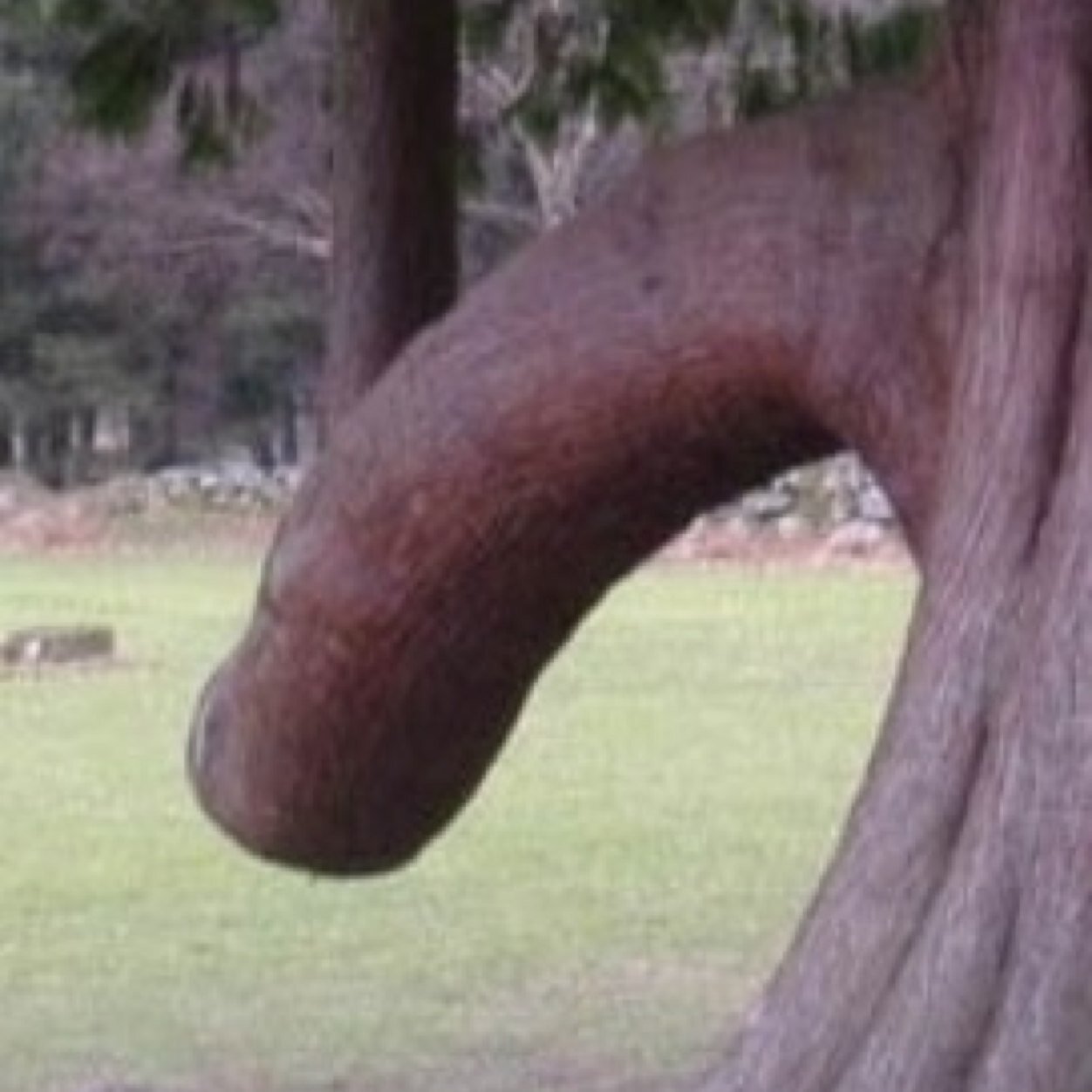 y_brentsdick69's profile picture. 