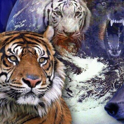 CathyMifflin's profile picture. 