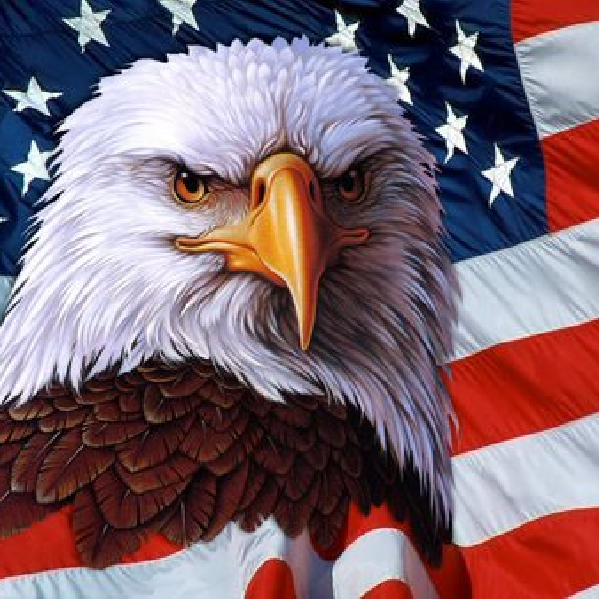 David_Patriot's profile picture. Advocate for Truth, Justice, Capitalism, Meritocracy and the American Dream.